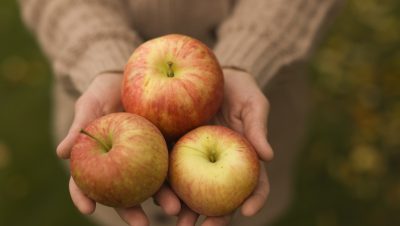 Epler i damehender