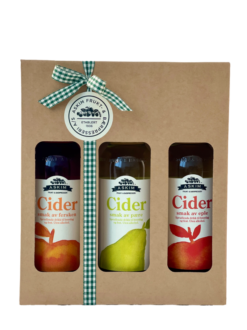 3 pk Cider